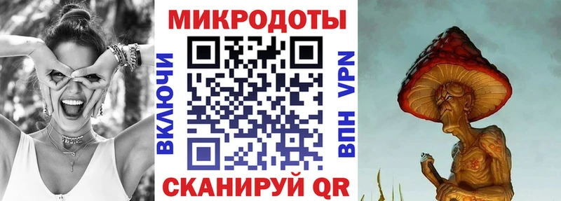 Купить где  Осташков  Псилоцибиновые грибы MAGIC MUSHROOMS 